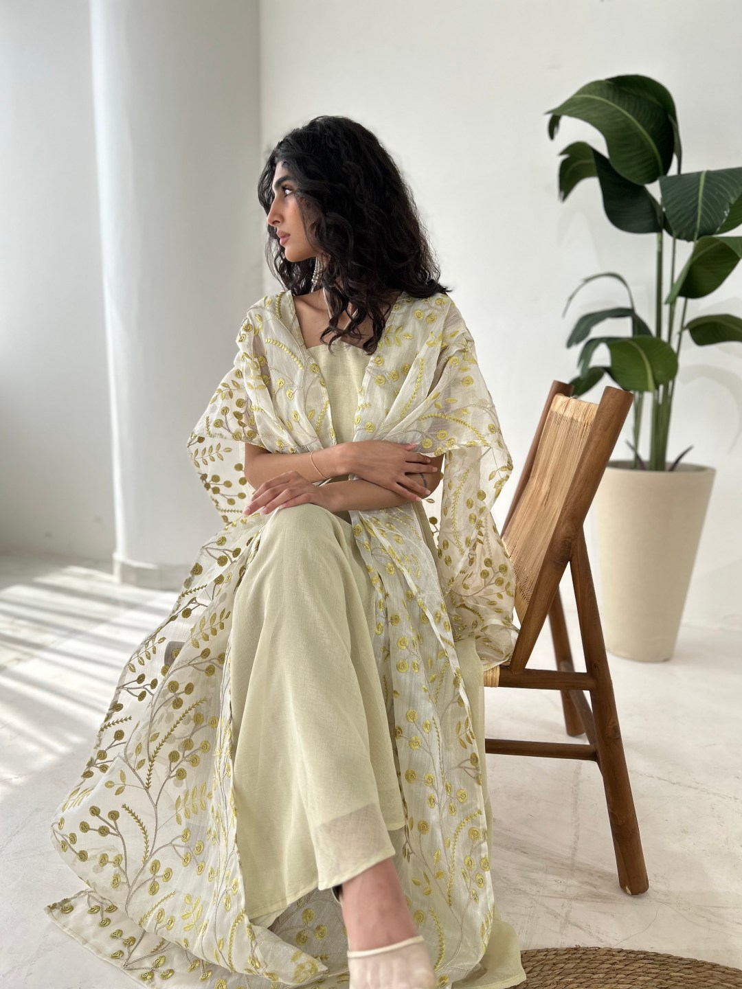 Olive Cape Dress In Spanish Organza